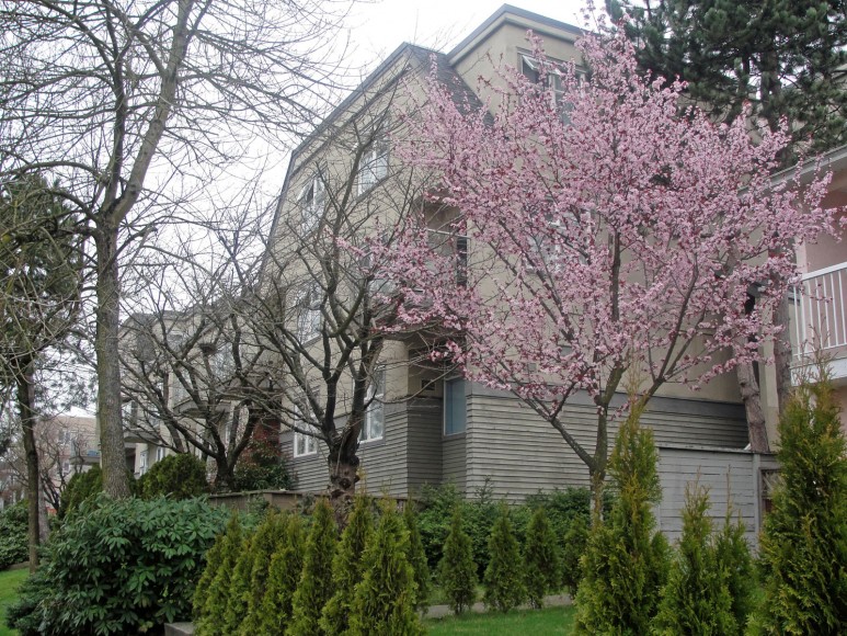 Nanaimo Place | Affordable Housing Societies